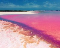 New Build - Apartment - Punta Prima - Rocio del Mar