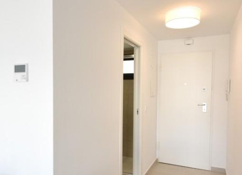 New Build - Apartment - San Miguel de Salinas