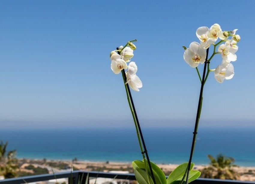 New Build - Apartment - Santa Pola - Gran Alacant