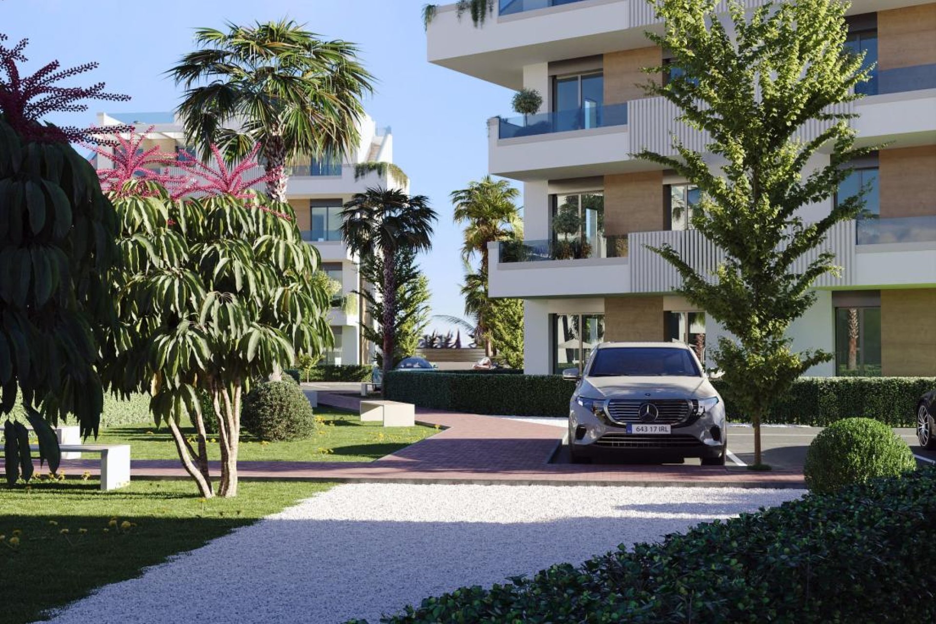 New Build - Apartment - Torre Pacheco - Torre-Pacheco