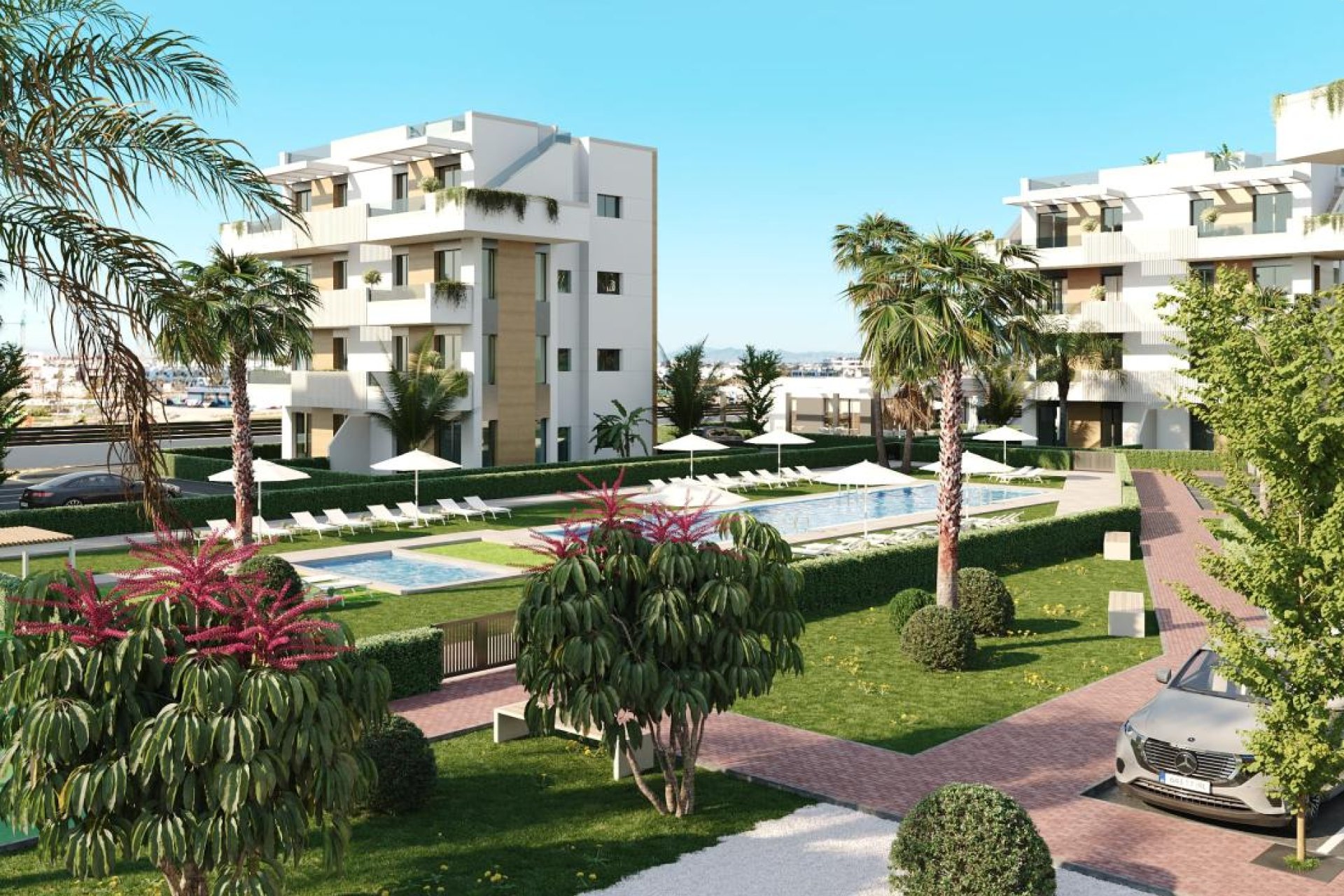 New Build - Apartment - Torre Pacheco - Torre-Pacheco