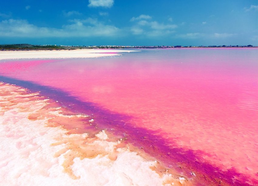 New Build - Apartment - Torrevieja - La Hoya