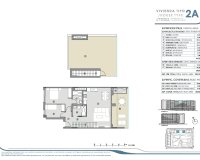 New Build - Apartment - Torrevieja - Punta Prima