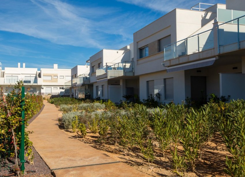 New Build - Apartment - Vistabella Golf - Vista Bella