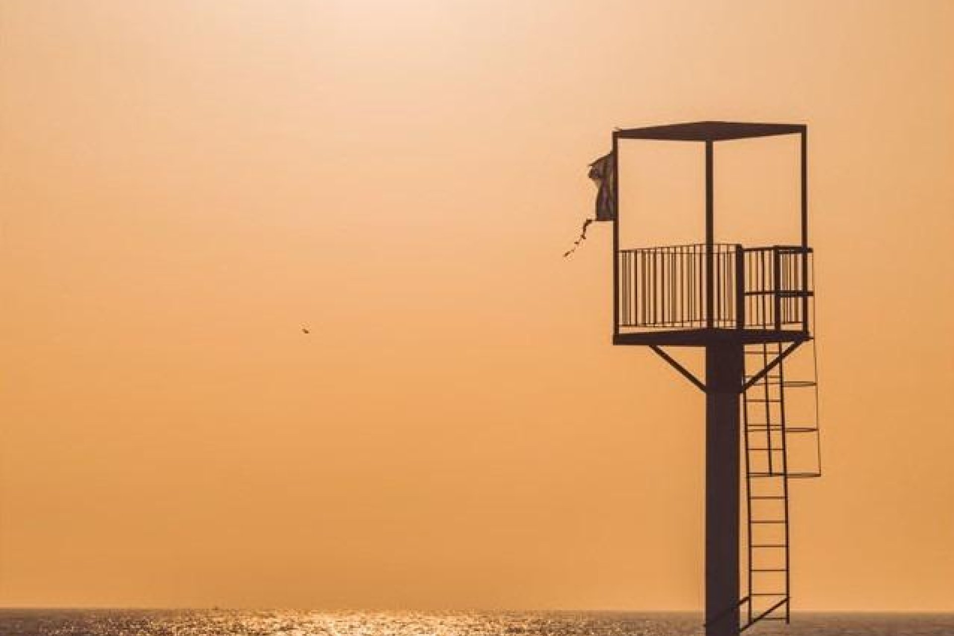 New Build - Bungalow - Almerimar