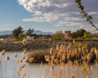 New Build - Bungalow - Guardamar del Segura - Guardamar Del Segura