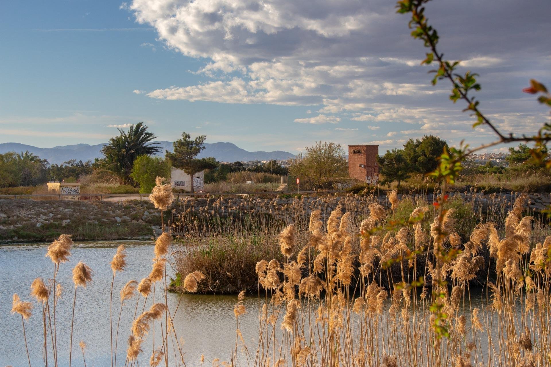 New Build - Bungalow - Guardamar del Segura - Guardamar Del Segura