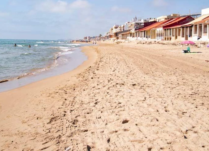 New Build - Bungalow - Guardamar del Segura - Pueblo