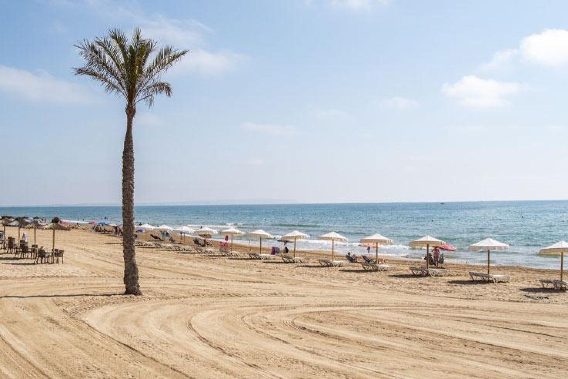 New Build - Bungalow - Guardamar del Segura - Pueblo