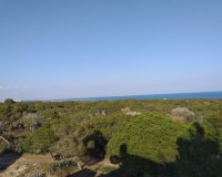 New Build - Bungalow - Guardamar del Segura - Pueblo