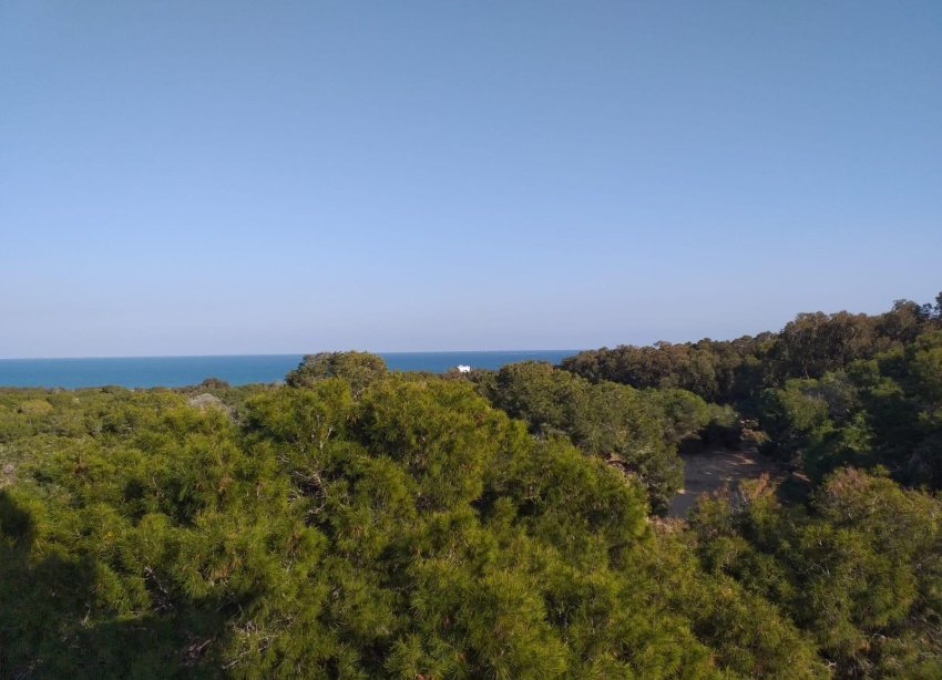 New Build - Bungalow - Guardamar del Segura - Pueblo