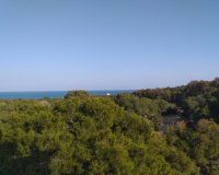 New Build - Bungalow - Guardamar del Segura - Pueblo