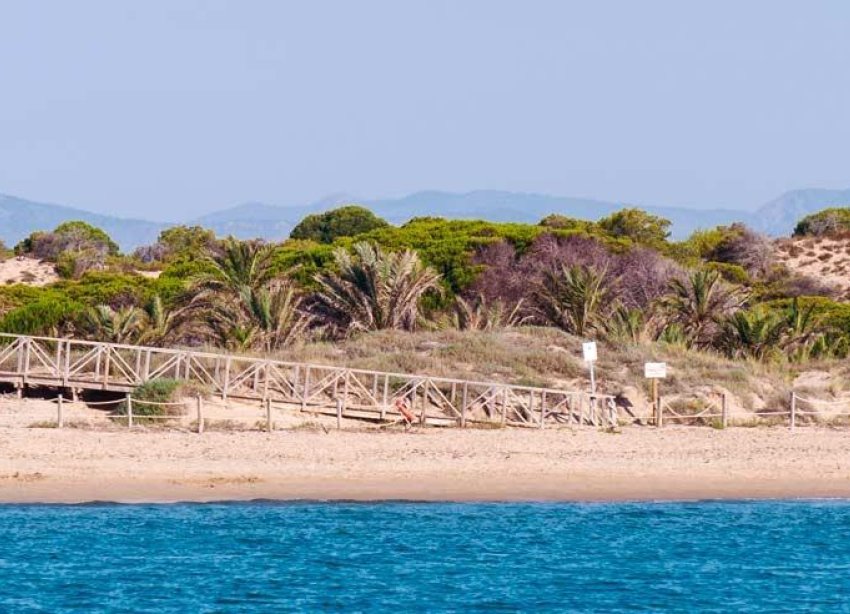 New Build - Bungalow - Guardamar del Segura - Pueblo