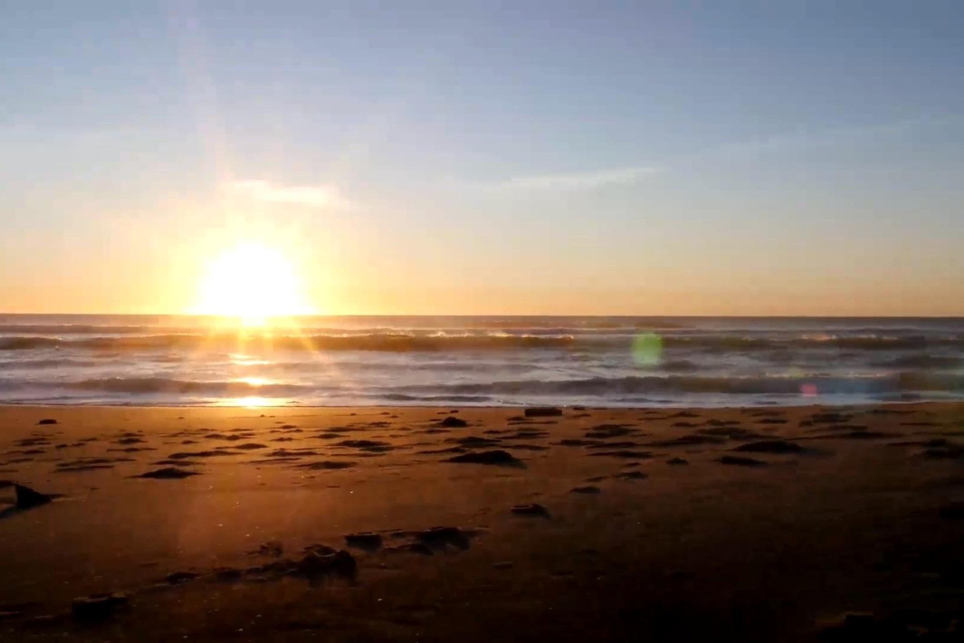 New Build - Bungalow - Torrevieja - Centro