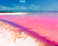 New Build - Bungalow - Torrevieja - Sector 25