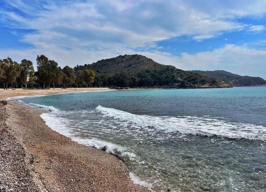 New Build - Bungalow - Villajoyosa