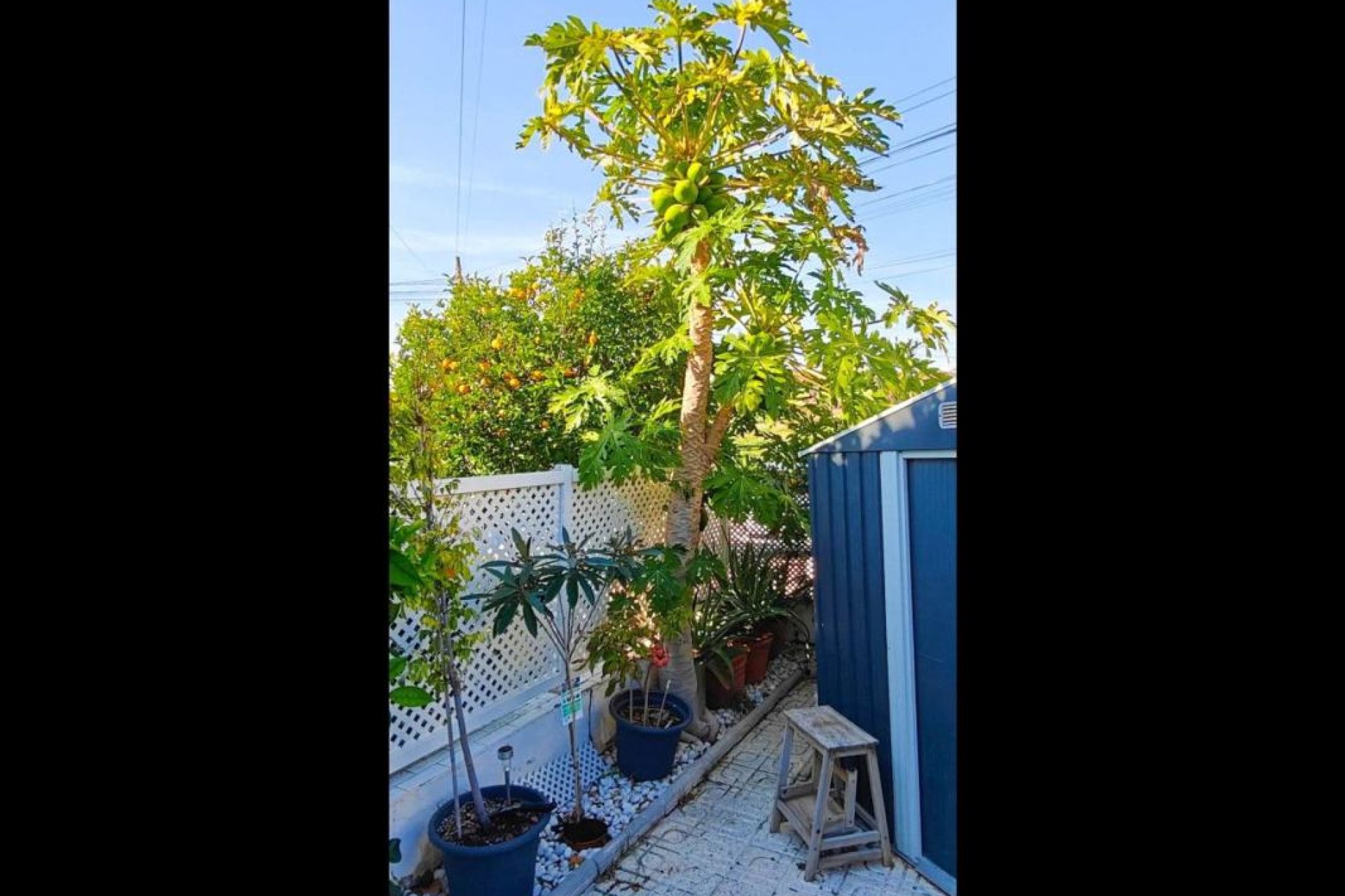 New Build - Detached chalet - Torrevieja