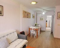 New Build - Houses - Guardamar del Segura