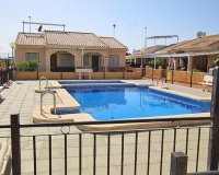 New Build - Houses - Guardamar del Segura