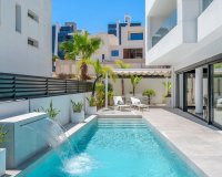 New Build - Houses - Guardamar del Segura