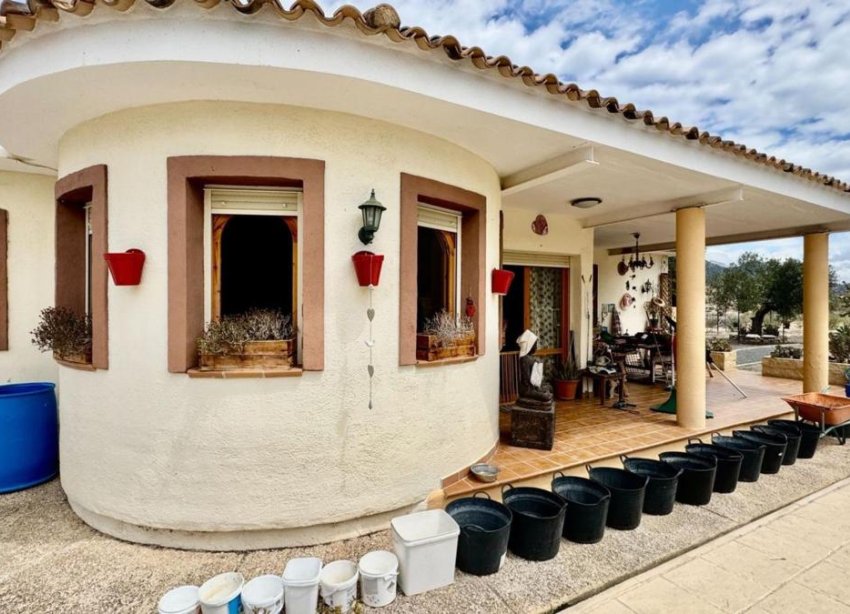 New Build - Houses - Orcheta - Relleu