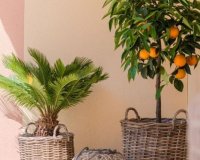 New Build - Houses - Orihuela