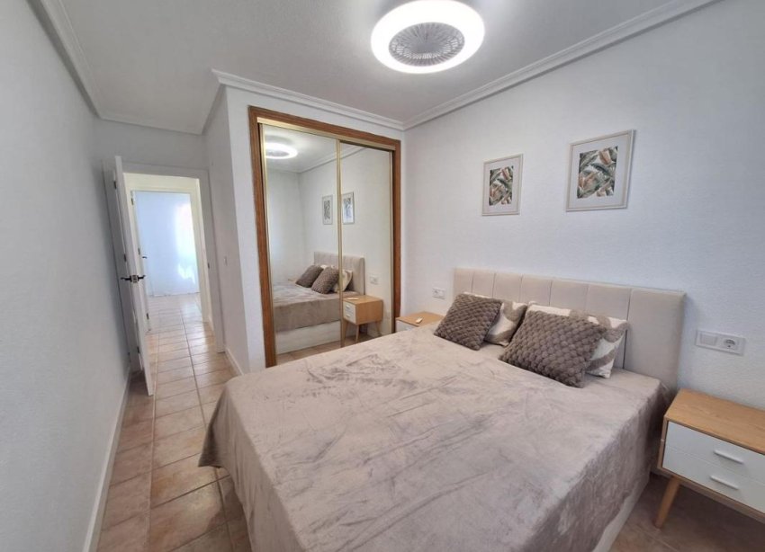 New Build - Houses - Torrevieja