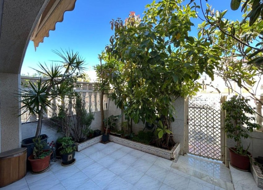 New Build - Houses - Torrevieja