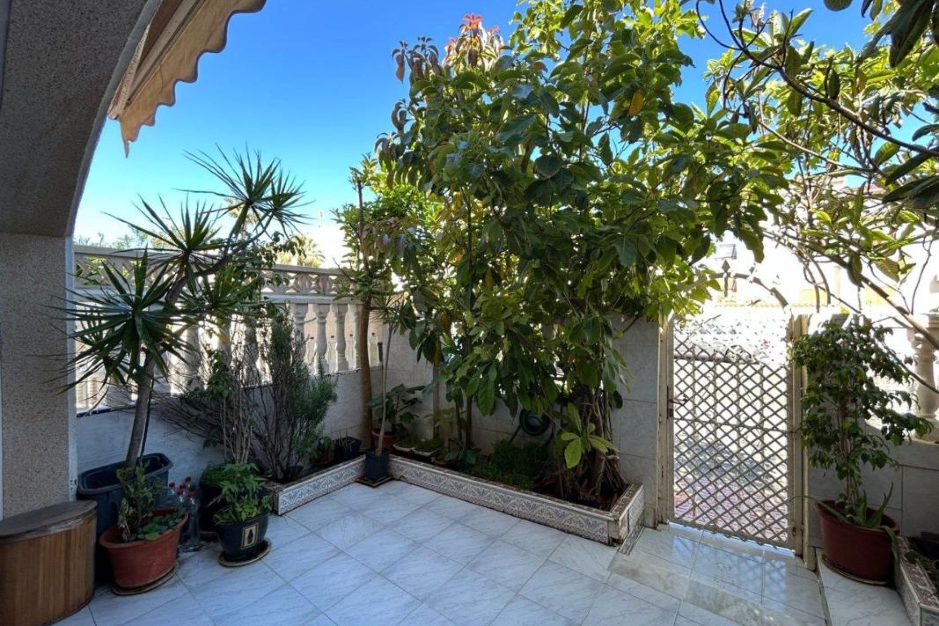 New Build - Houses - Torrevieja
