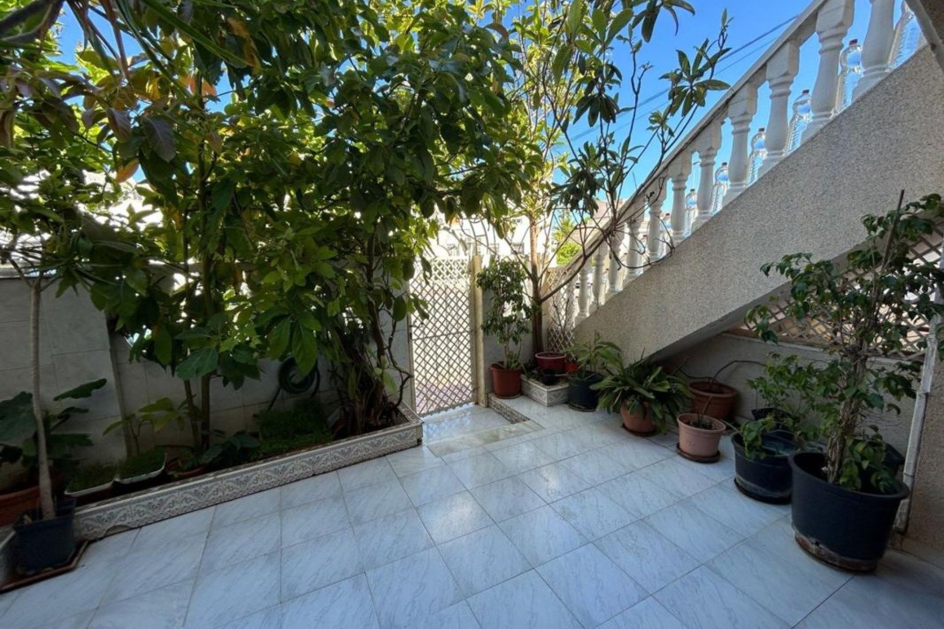 New Build - Houses - Torrevieja