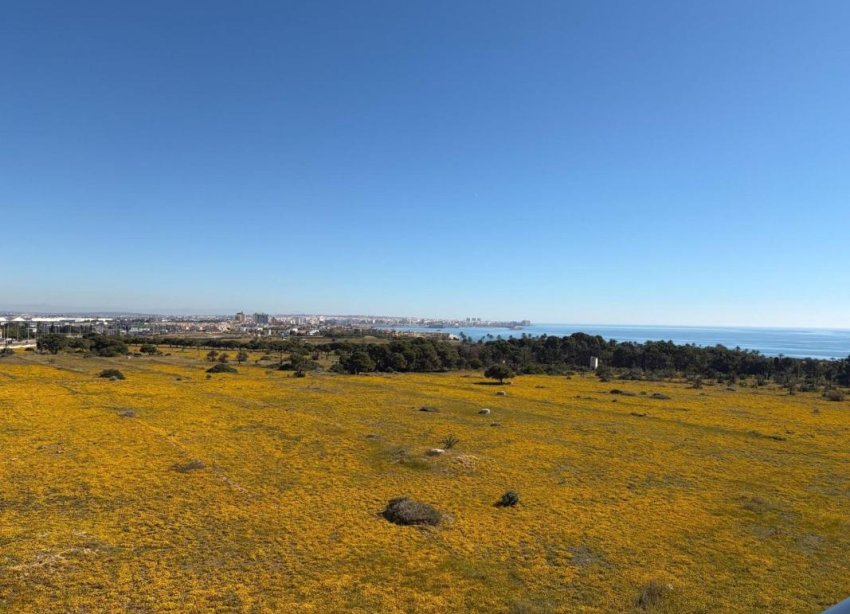New Build - Penthouses - Torrevieja