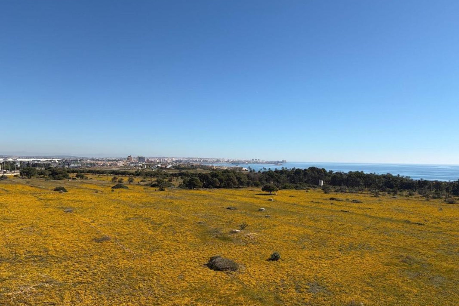 New Build - Penthouses - Torrevieja