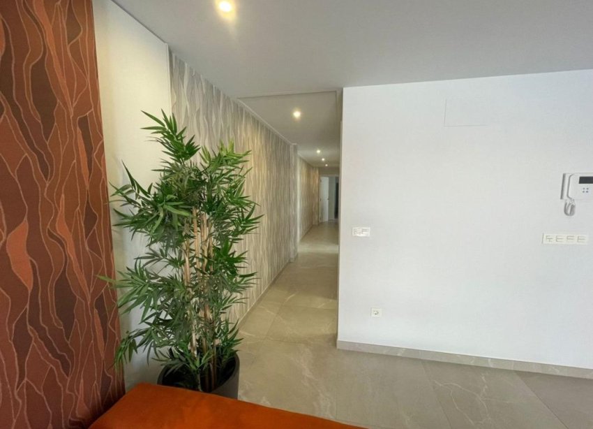 New Build - Penthouses - Torrevieja