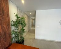 New Build - Penthouses - Torrevieja