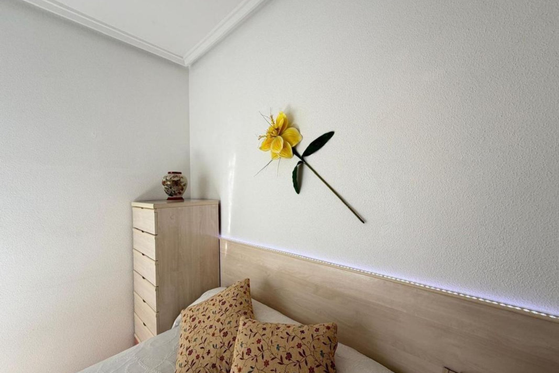 New Build - Penthouses - Torrevieja