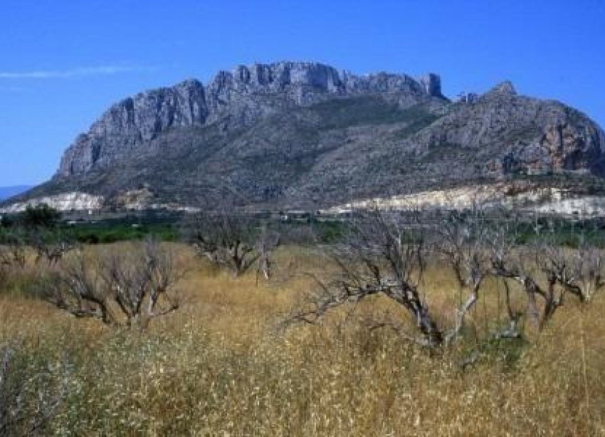 New Build - Terraced house / Townhouse - Denia - El Verger