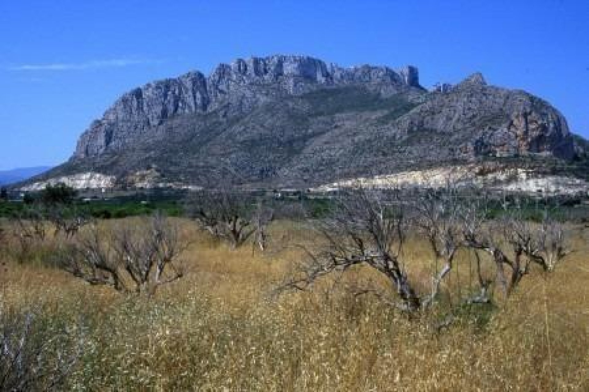 New Build - Terraced house / Townhouse - Denia - El Verger