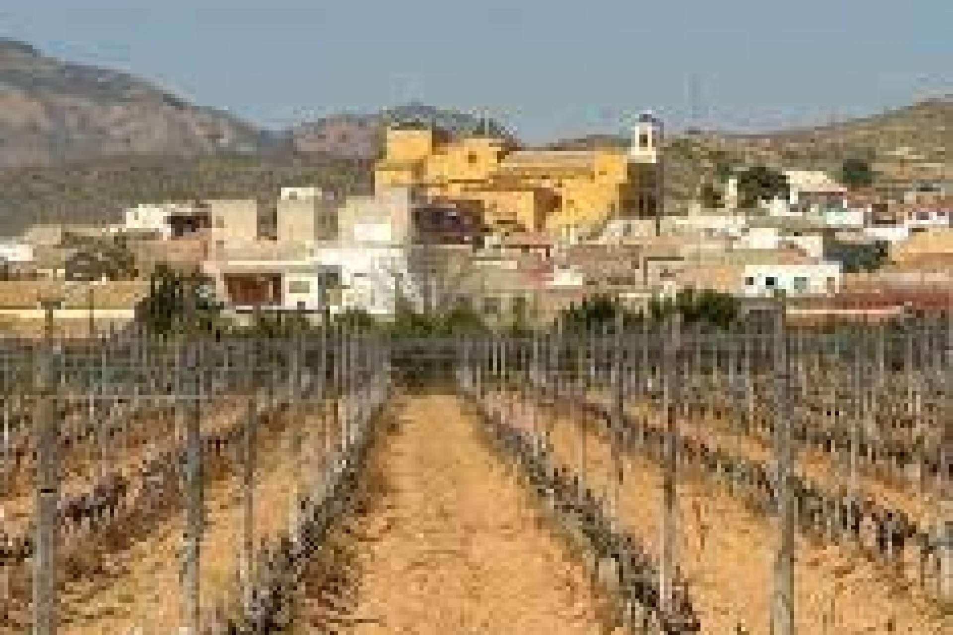 New Build - Terraced house / Townhouse - Hondón de las Nieves - El Salero