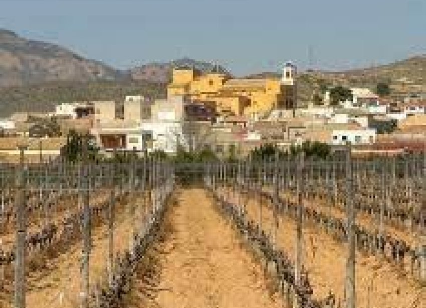 New Build - Terraced house / Townhouse - Hondón de las Nieves - El Salero