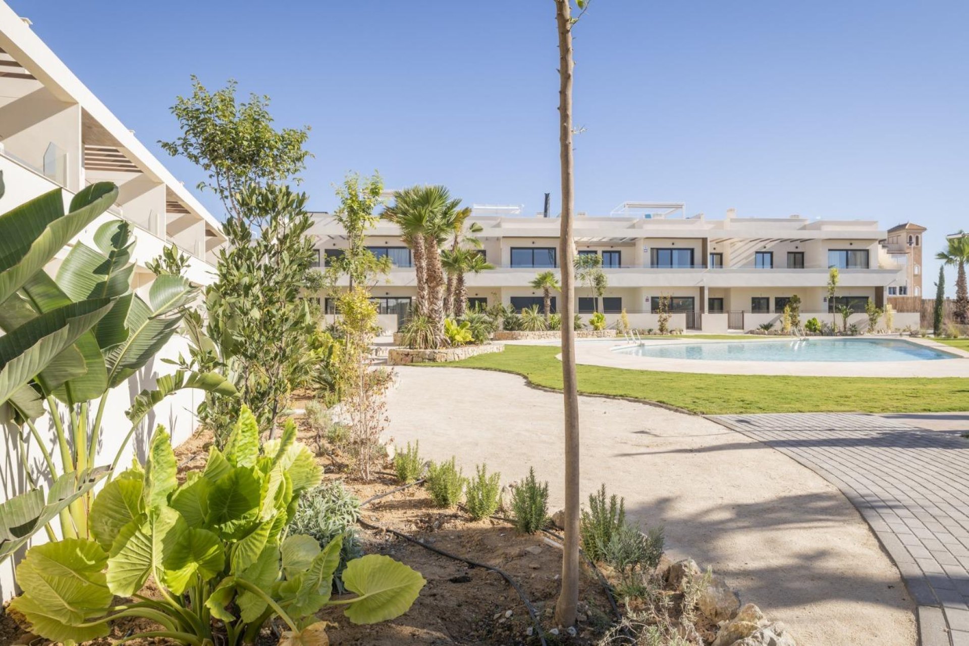 New Build - Terraced house / Townhouse - ﻿Torrevieja (Alicante) - Torrevieja