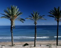 New Build - Terraced house / Townhouse - Pilar de la Horadada - Parque Ramon eugenio Escudero