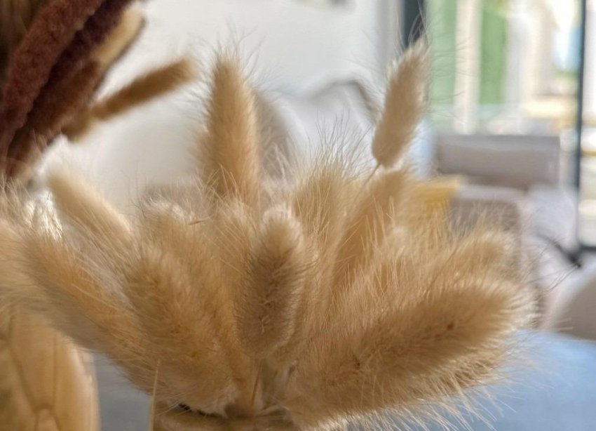 New Build - Terraced house / Townhouse - San Fulgencio - Pueblo