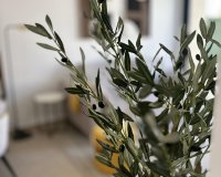 New Build - Terraced house / Townhouse - San Fulgencio