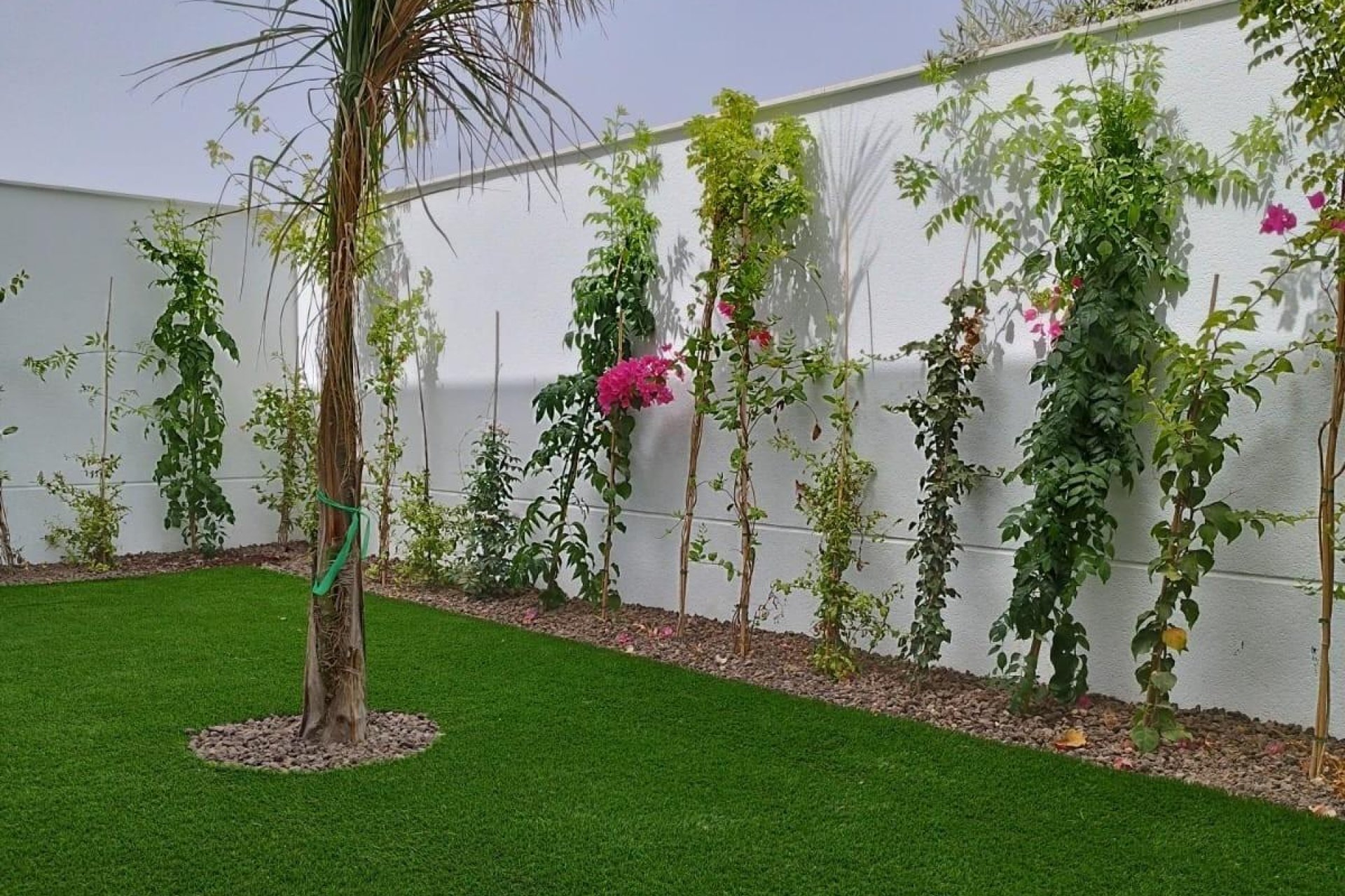 New Build - Terraced house / Townhouse - San Javier - Parque del doce