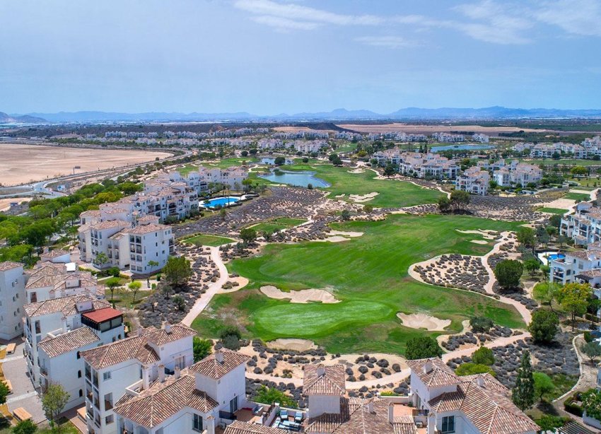 New Build - Terraced house / Townhouse - Sucina