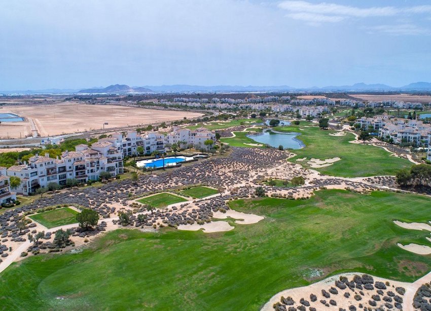 New Build - Terraced house / Townhouse - Sucina