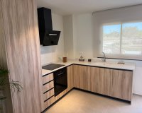 New Build - Townhouse / Terraced House - Pilar de la Horadada