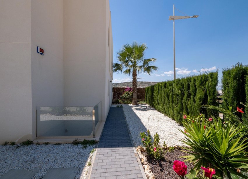 New Build - Villa - Algorfa