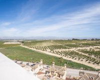 New Build - Villa - Algorfa