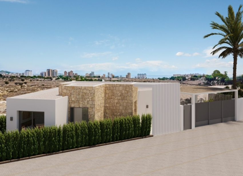 New Build - Villa - Alicante - San Juan